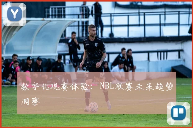 数字化观赛体验：NBL联赛未来趋势洞察
