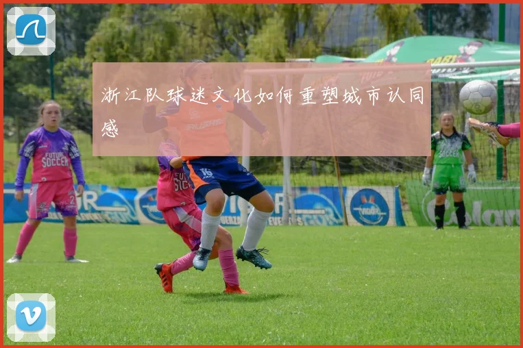 浙江队球迷文化如何重塑城市认同感